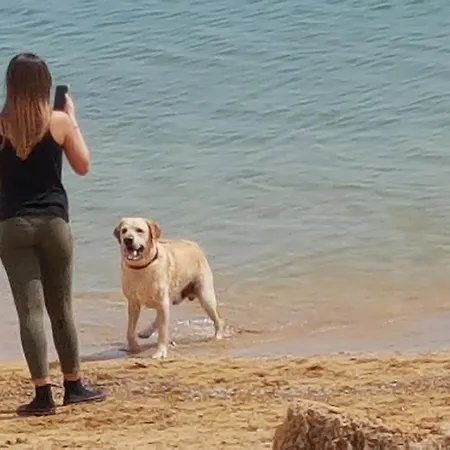Hébergement de vacances Casa Turismo 